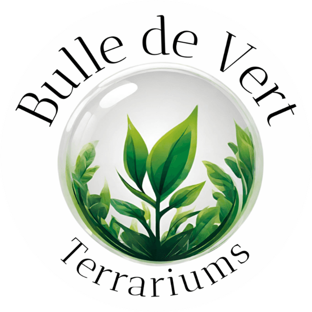 Bulle de Vert Terrariums